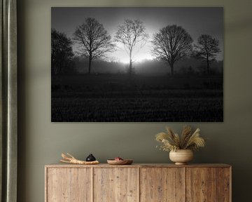 winterzon door winterbomen van Stobbe; stiltegrafie