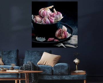 Still life, Garlic (Allium sativum) square 1:1