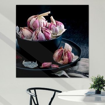 Stilleben, Knoblauch (Allium sativum) quadratisch 1:1