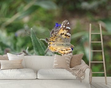 Distelvlinder zonnebadend op een bloem