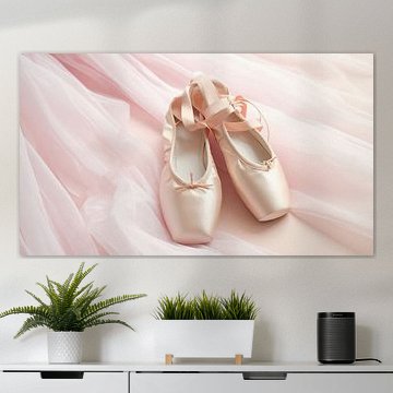 Balletschoenen om te dansen