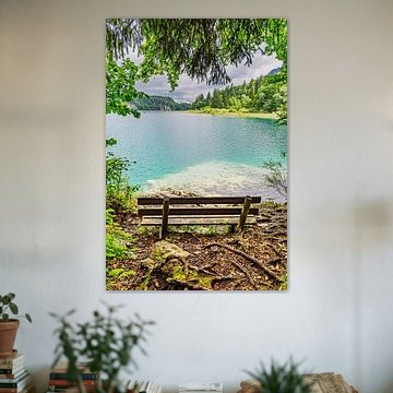 Vue sur le lac Alpsee avec un banc dans l'Allgäu en Bavière