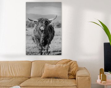 Scotch highlander 1 black and white by SW Arts