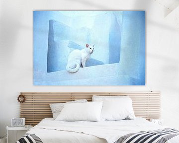 KATZE 6 von Miroslav Ptacek