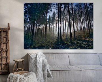 Mystiek winterbos van Tanja Voigt