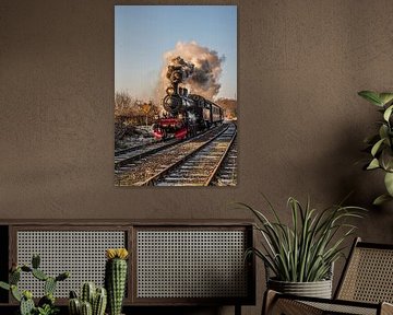 Steam locomotive E2 1040 of the Miljoenenlijn Zuid Limburgse Stoomtrein Maatschappij (ZLSM) by Flachsfotografie