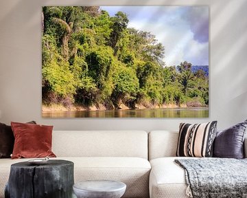 Libelle in Kabalebo in Suriname van René Holtslag