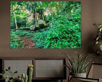 Wrack eines Flugzeugs in Surinam von René Holtslag