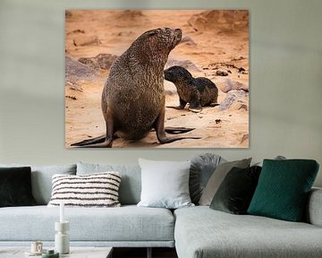 Kaapse pelsrob en jong van Willemijn Wolthaus