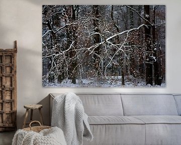 WINTERMÄRCHEN von Miroslav Ptacek