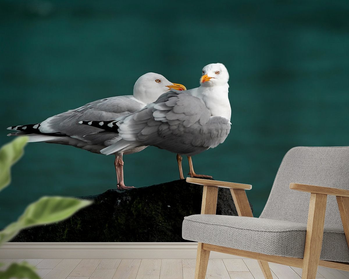 Raumvorschau