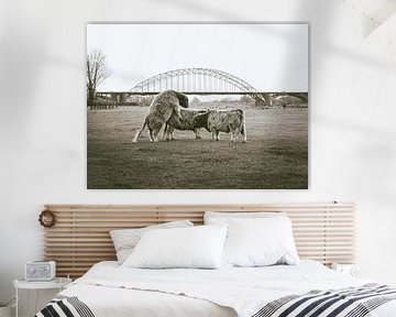 Hugs for the waal bridge by Joep Hetem