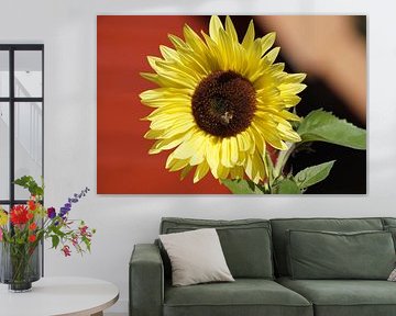 Blossom of a sunflower by Karsten Mücke