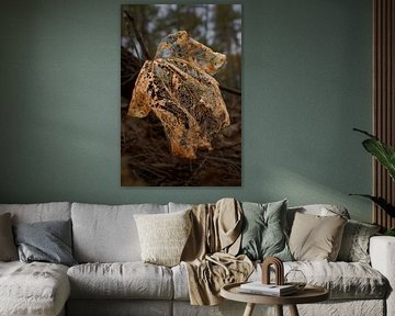 Transitivität von Peter Bartelings