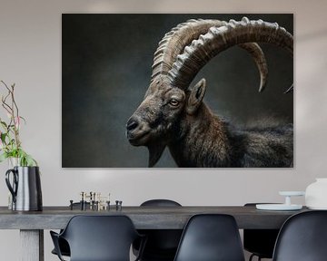 Nahaufnahme eines Steinbocks von Lauren Wilde