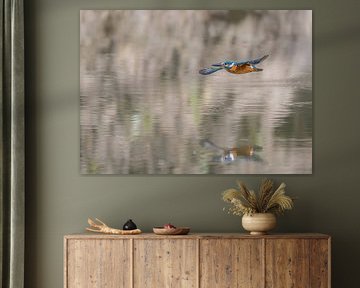 Eisvogel im Flug von Lies Bakker