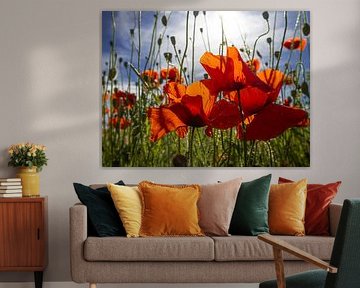 Mohnfeld von Willemijn Wolthaus