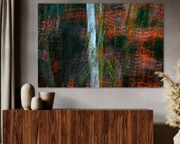 MÄRCHENWALD 4 von Miroslav Ptacek