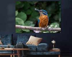 Aperçu de la chambre