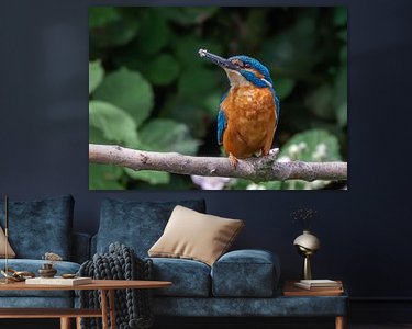 Aperçu de la chambre