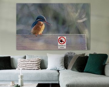 Eisvogel darf nicht fischen von Lies Bakker