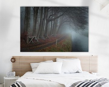 Arbres sombres, brouillard et eau