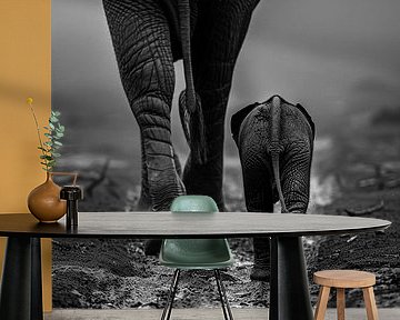 Wie der Vater so der Sohn