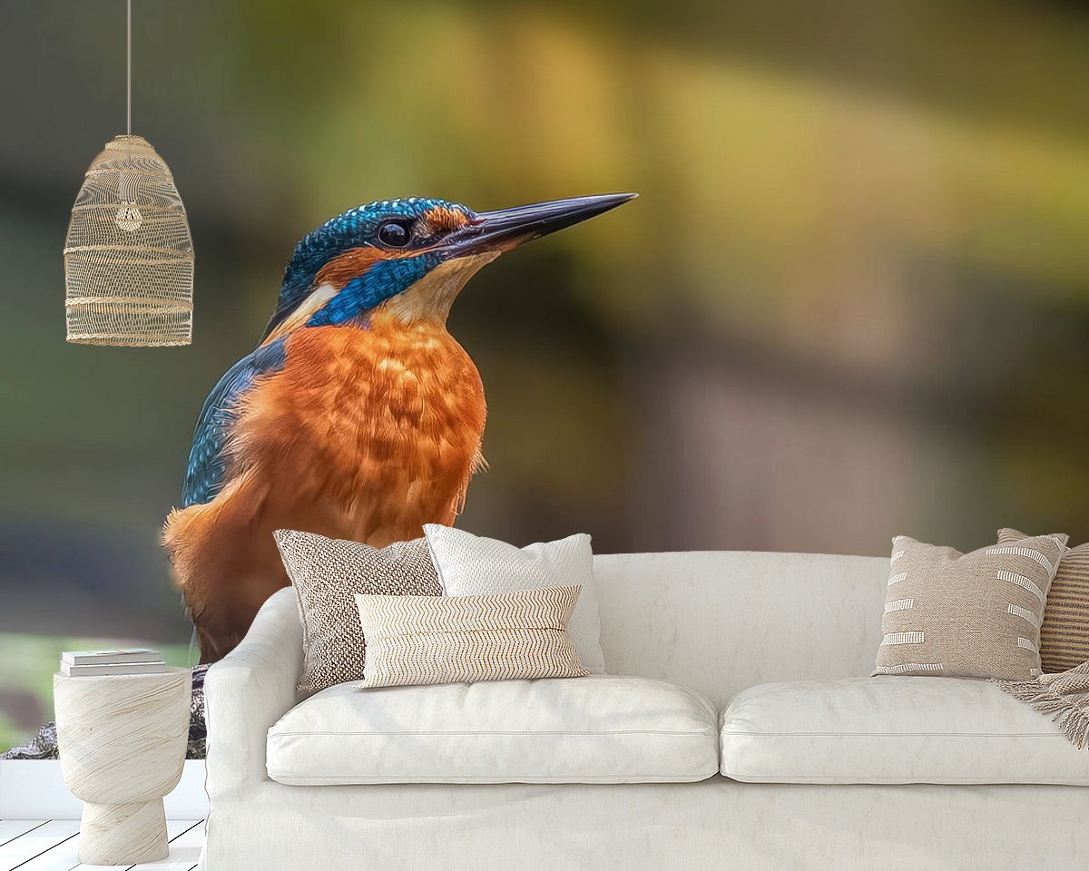 Raumvorschau