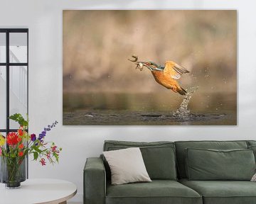 double catch ! by Gea Veldhuizen