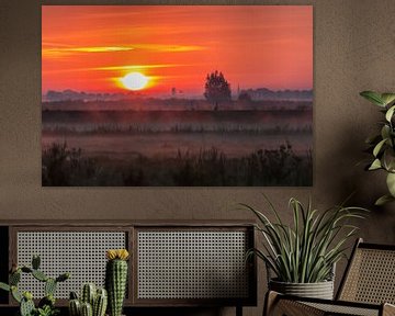 Ganzen in het veld tijdens zonsopkomst sur Stephan Neven