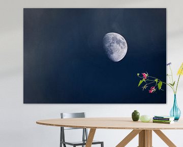 Stille Nacht - Mond in tiefem blau von Skarvaan by Benedict Gertz