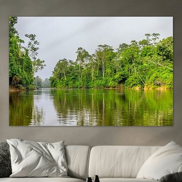 Kabalebo Nature Resort is a tourist resort in Suriname by René Holtslag