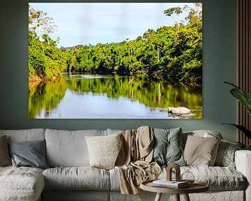 Kabalebo Nature Resort is a tourist resort in Suriname by René Holtslag