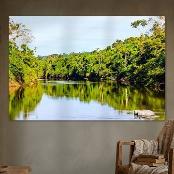 Kabalebo Nature Resort is a tourist resort in Suriname by René Holtslag