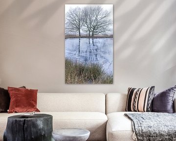 Dwingelderveld - Drenthe (Netherlands) by Marcel Kerdijk