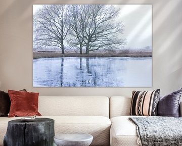 Dwingelderveld - Drenthe (Netherlands) by Marcel Kerdijk