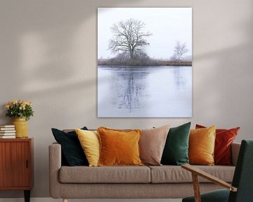 Dwingelderveld - Drenthe (Netherlands) by Marcel Kerdijk