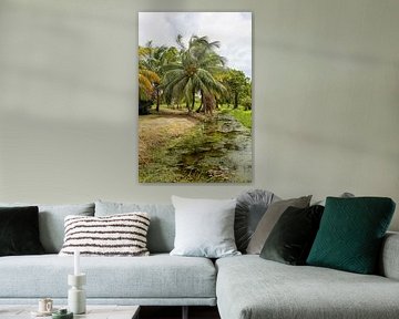 Landscape of Frederiksdorp Plantation in Suriname by Patricia Hofmeester