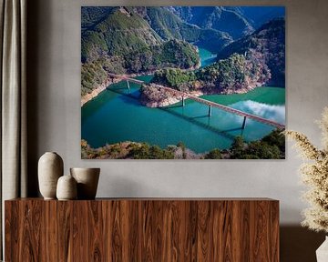 Japan - Okuōikojō - Station in het stuwmeer van Orange Frame - Remco Bosshard