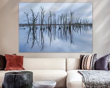 Ökologischer Park Tusschenwater - Zuidlaren - De Groeve (Niederlande)Ökologischer Park Tusschenwater - Zuidlaren - De Groeve (Niederlande) von Marcel Kerdijk