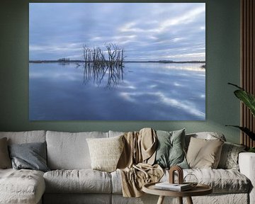 Ökologischer Park Tusschenwater - Zuidlaren - De Groeve (Niederlande) von Marcel Kerdijk