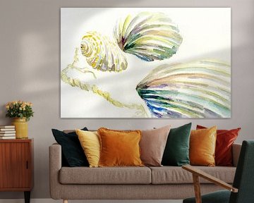 Meeresgetier - Muscheln