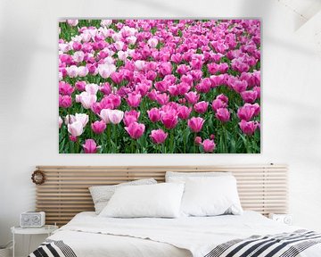 veld met tulpen van ChrisWillemsen