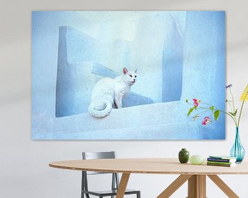 KATZE 1 von Miroslav Ptacek