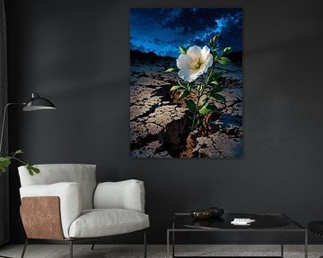 weiße Blume von Giandra Safaraz