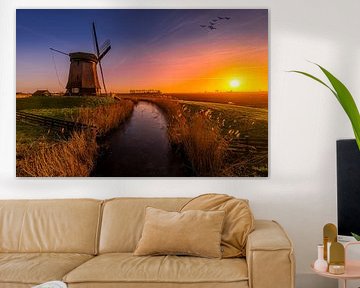 Soleil d'or au Schermerhorn