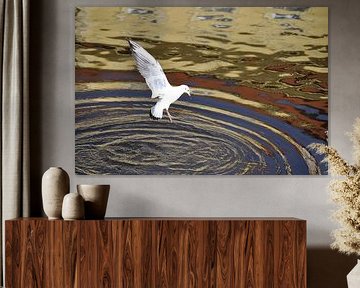 AKROBATEN 1 von Miroslav Ptacek