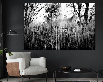 CAMARGUE - PFERDE 2 von Miroslav Ptacek