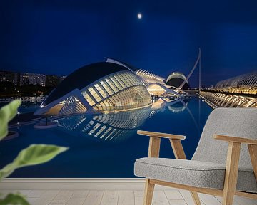 De walvis van licht – Nachtfotografie bij de Stad van Kunsten en Wetenschappen, Valencia