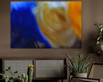 RÉSERVES FLEURS 2 sur Miroslav Ptacek